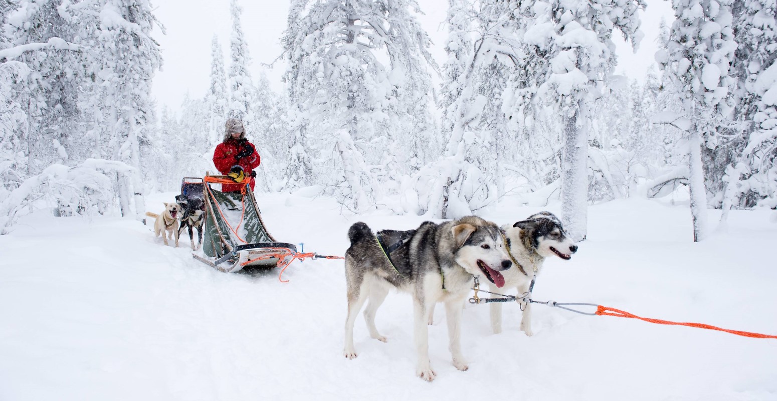 salla viaje papa noel